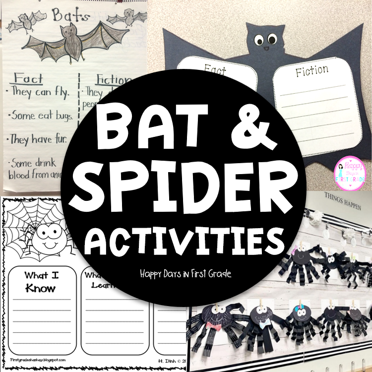 Bat and Spider Activities